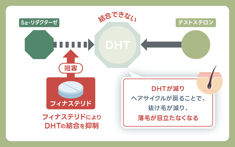 DMMオンラインクリニック フィナステリド 効果