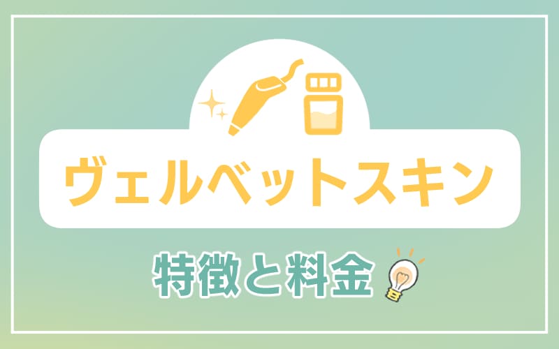 ヴェルベットスキンの特徴と料金