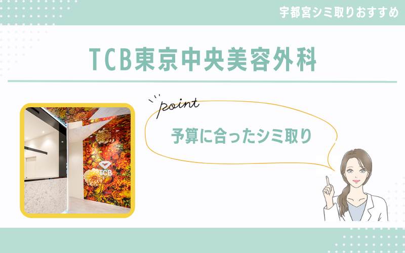 【宇都宮】予算に合ったシミ取り治療が見つかりやすいTCB東京中央美容外科