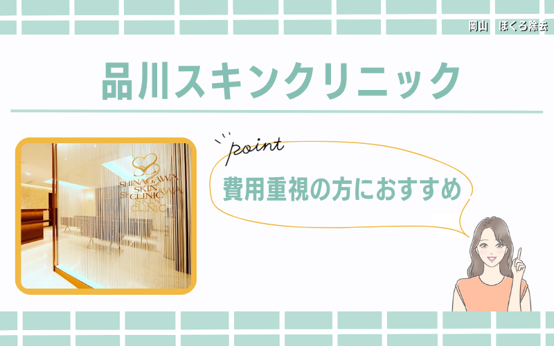 費用重視の方におすすめ!会員メニューが魅力的な品川スキンクリニック